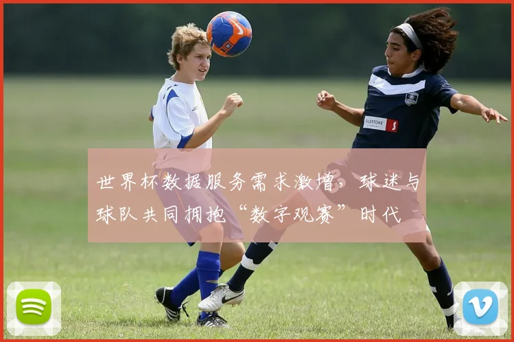 世界杯数据服务需求激增,球迷与球队共同拥抱“数字观赛”时代