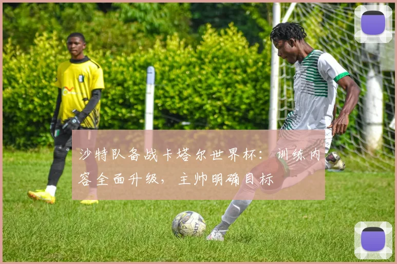 沙特队备战卡塔尔世界杯:训练内容全面升级,主帅明确目标