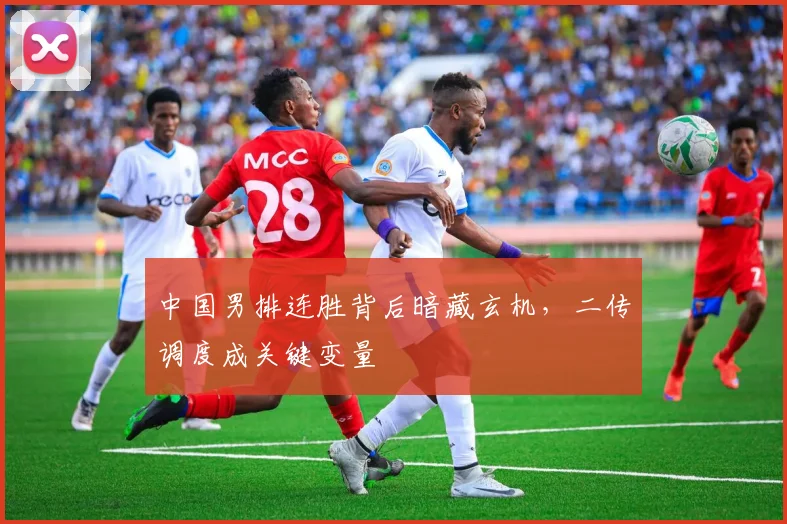 中国男排连胜背后暗藏玄机,二传调度成关键变量